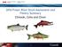 2016 Fraser River Stock Assessment and Fishery Summary Chinook, Coho and Chum