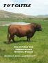 T & T CATTLE BULL & FEMALE SALE FEBRUARY 6, 2018 RIVERTON, WYOMING RED ANGUS, ANGUS, AND SIMANGUS TM