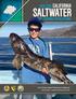 SALTWATER SPORT FISHING REGULATIONS. For Ocean Sport Fishing in California