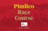 Pimlico Race Course LOGO. Final report - February 2017