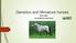 Genetics and Miniature horses. Munro Marx Unistel Medical laboratories