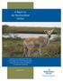 A Report on the Newfoundland Caribou
