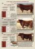 U2 red Angus yearling Bulls Sired by MiSSiON 61W