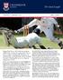 The Good Length. Games Day Photos Calling all Cricketing Photographers!