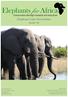 Elephant Tales Newsletter Issue 16