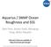 Aquarius / SMAP Ocean Roughness and SSS