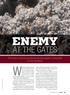 What if you had been warned ENEMY AT THE GATES. Fire ant control products stock supers arsenals