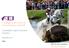 A strategic review of the FEI World Equestrian Games. Consultation report: Executive Summary. November