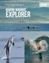 Ocean Light II Adventures. marine mammal. explorer