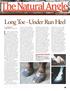 LongToe-UnderRunHeel. Long toe -under run heel. Volume 4: Issue 1 BY STEPHEN E. O GRADY, DVM MRCVS