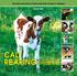 Practical manual for small scale Dairy farmer in Vietnam. Hanoi 2009 CALF REARING