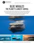 Blue Whales. The PlaneT s largest animal