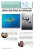 ultimate shark diving & shark photography
