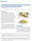 Candidate Species for Marine Ornamental Aquaculture: French Grunt, Haemulon flavolineatum 1