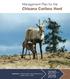 Management Plan for the. Chisana Caribou Herd. Prepared by: Chisana Caribou Herd Working Group October 2012 > FINAL