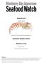 Antarctic krill. Euphausia superba. Scandinavian Fishing Yearbook/  Antarctica: Southern Ocean.
