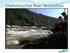 Chattahoochee River Restoration