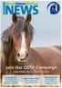 In this Issue... Pages 4 & 5: Working horses brought out of the shadows. Pages 7 & 8: Get involved in our CCTV campaign