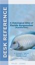 Table of Contents. Introduction Blue Tang Kidney Blue Tang Gills Blue Tang Intestine Blue Tang Hepatopancreas...