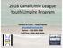 2018 Canal Little League Youth Umpire Program. Umpire in Chief Sean Franek Home Cell/Text
