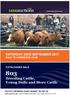 SATURDAY 23RD SEPTEMBER 2017 SALE TO COMMENCE 10AM CATALOGUED SALE. Breeding Cattle, Young Bulls and Store Cattle