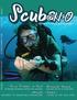 4 SCUBAH2OMAG.COM. CONTENT Lauderdale-by-the-Sea 6 Can Marine Turtles be Saved? 8 Dolphin Man 10. The Divearium 16 Pisces School of Diving 20