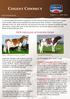 NEW RELEASE AYRSHIRE SIRES