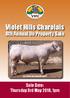 Violet Hills Charolais 8th Annual On Property Sale