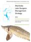 Manitoba Lake Sturgeon Management Strategy