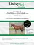 2yo Chestnut Colt by SNITZEL out of DIVISIBLE (USA) named PORTION CONTROL foaled 27- Sep- 2012