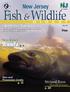 Fish & Wildlife. New Jersey. Reefs p Marine Fishing Issue. New Jersey. Free