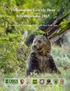 Yellowstone Grizzly Bear Investigations Annual Report of the Interagency Grizzly Bear Study Team