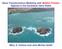 Wave Transformation Modeling with Bottom Friction Applied to the Southeast Oahu Reefs. Mary A. Cialone and Jane McKee Smith