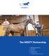 The WESTY Partnership. Pacific Bloodstock Pty Ltd AFSL: High St Kew East Vic 3102 M E