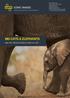 BIG CATS & ELEPHANTS. with Art Wolfe & Denis Glennon AO BIG CATS & ELEPHANTS WITH ART WOLFE & DENIS GLENNON AO