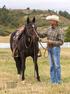 Head Trainer Brent Winston has been with Harmony Equine Center for four years. His experience includes an intership with legendary horseman Ray Hunt.