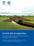 Scottish Golf Amalgamation. Creating a single unified national governing body for amateur golf in Scotland