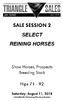 SELECT REINING HORSES