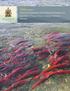 Infectious Diseases and Potential Impacts on Survival of Fraser River Sockeye Salmon