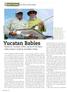Mexico s Yucatan offers some of the best baby-tarpon angling available today.