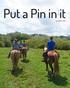 Put a Pin in it By Debbie Stone