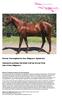 Dream Thoroughbreds Due Diligence Syndicate. Unnamed yearling Chestnut Colt by Ocean Park Out of Due Diligence