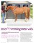 Hoof Trimming Intervals HOOF CARE. How do I know when my horse s feet need to be trimmed?
