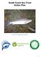 South Coast Sea Trout Action Plan. A typical rod caught Sussex sea trout