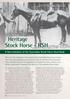 Heritage Stock Horse - HSH