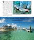 The Iconic Deep Water Cay Grand Bahama Island