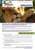 WALK WITH LIONS: LION CONSERVATION, RESEARCH, REHABILITATION AND RELEASE ON A GAME RESERVE NEAR VICTORIA FALLS