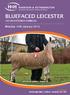 BLUEFACED LEICESTER 192 REGISTERED FEMALES
