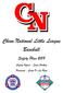 Chino National Little League Baseball