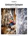 A Guide to Unicorn Canyon Peter Nelson, Craig Doram Zak McGurk cruising the second ascent of Money Jane